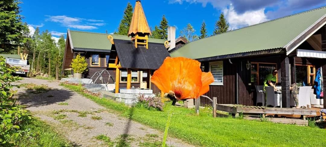 Onskedrommen Hytteutleie Brandbu Zewnętrze zdjęcie